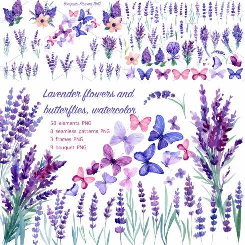 Lavender Flowers And Butterflies cover image.