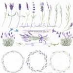 Lavender Wreaths Watercolor Clipart cover image.