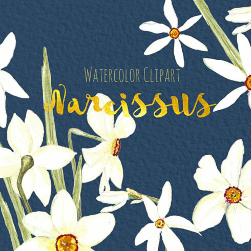 Narcissus. Watercolor Clipart cover image.
