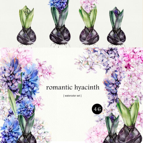 Romantic Hyacinths cover image.