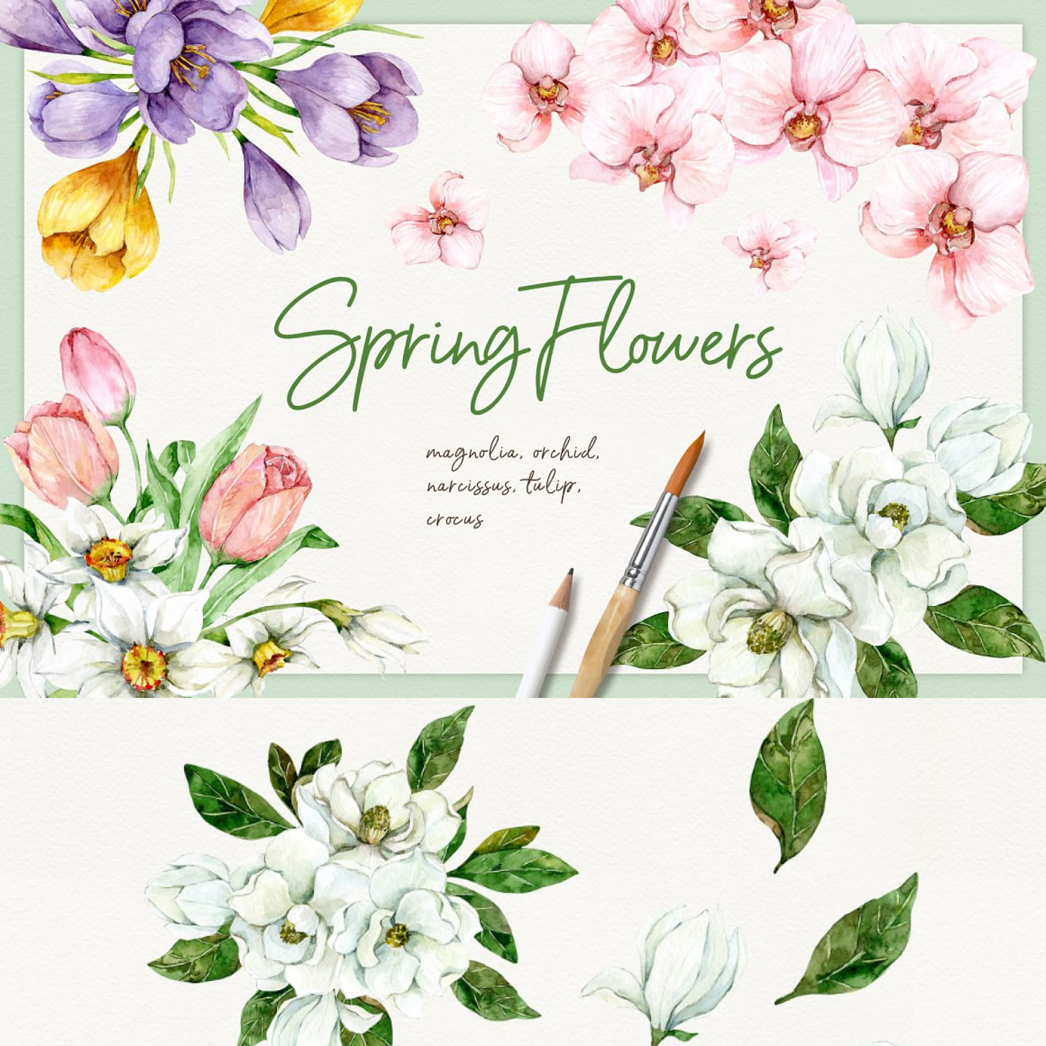 Spring Flowers - Watercolor Clipart cover image.