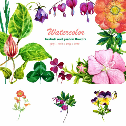 Watercolor Herbals and Flowers cover image.