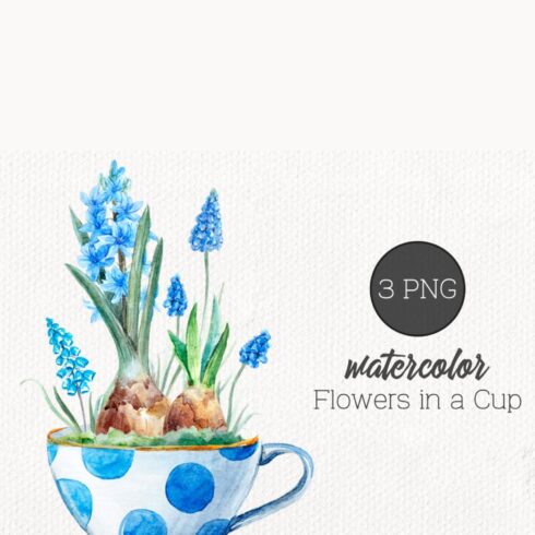 Watercolor Set "Flowers in a Cup" cover image.