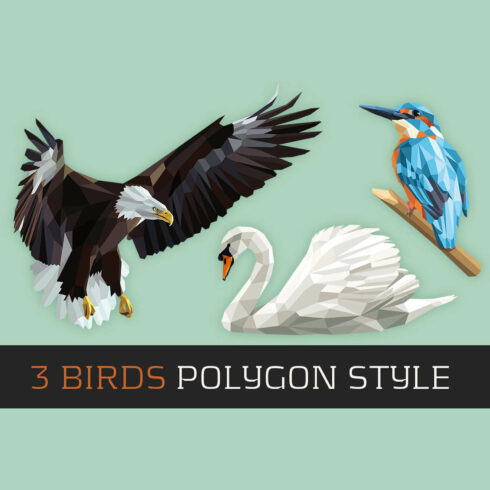 Three different birds - eagle, swan, exotic bird.