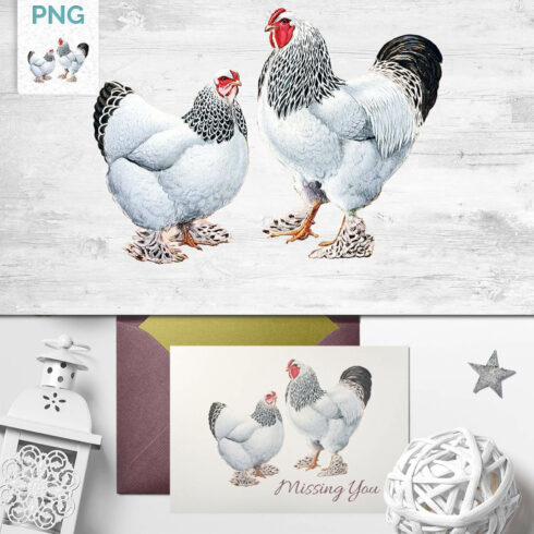 Two Chicken on clipart.