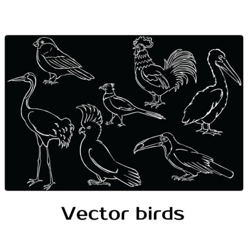 Vector drawing of birds white on black.