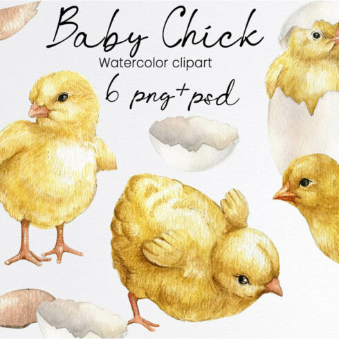 Watercolor easter chicken clipart.