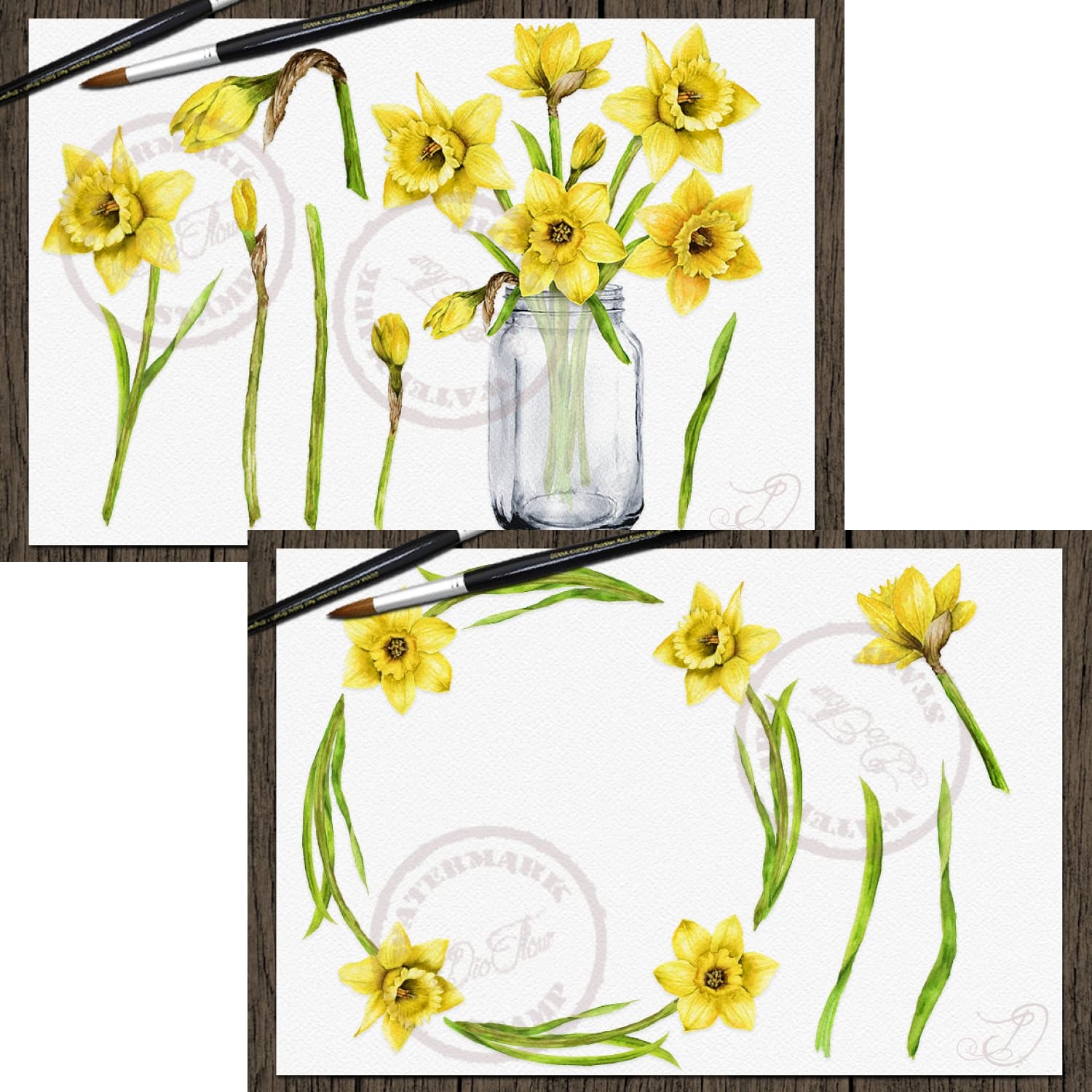 daffodils watercolor clip art.