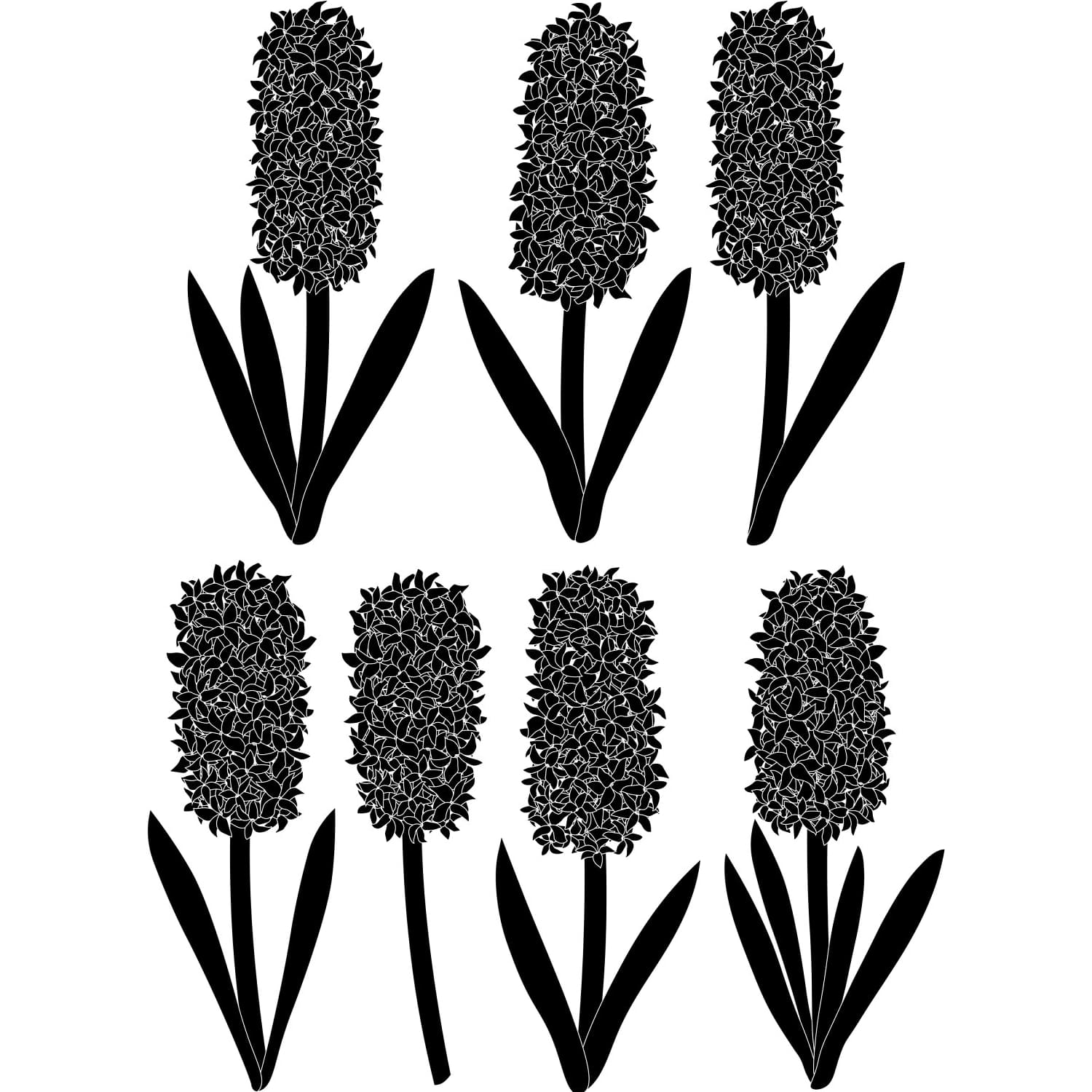hyacinths flowers silhouettes vector.