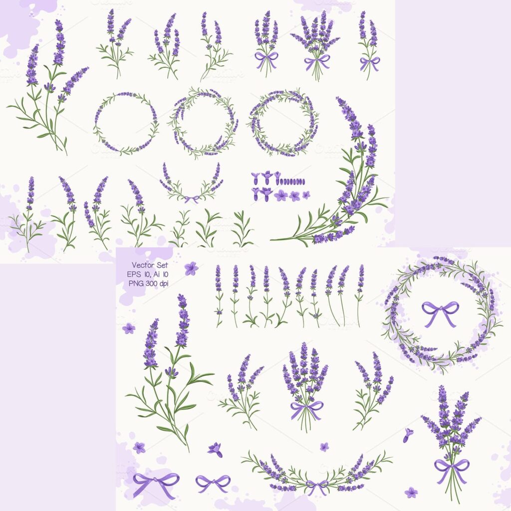 Lavender Set – MasterBundles