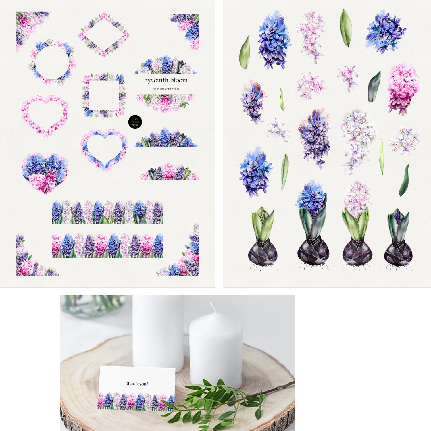 romantic hyacinths.