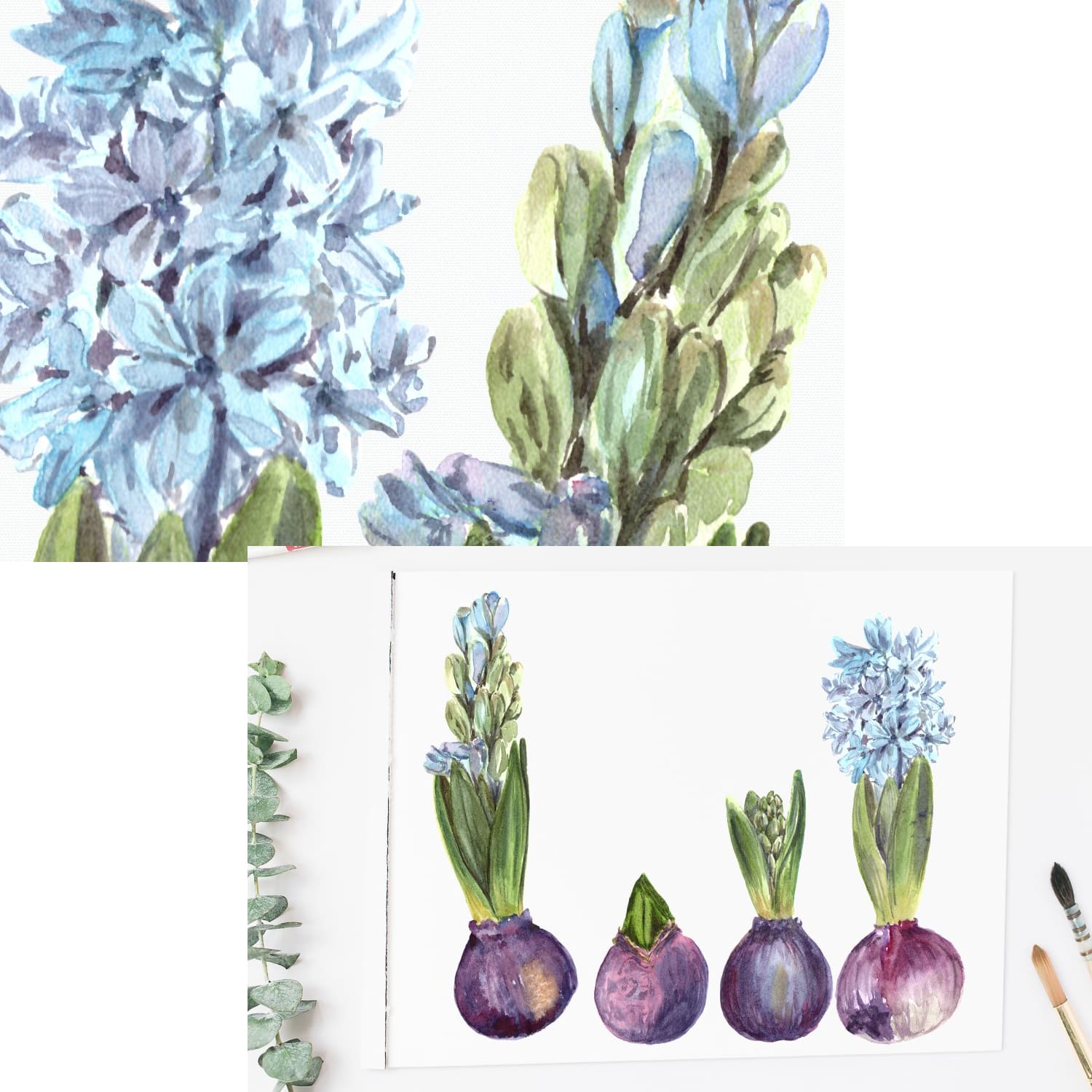 watercolor hyacinth clip art set.