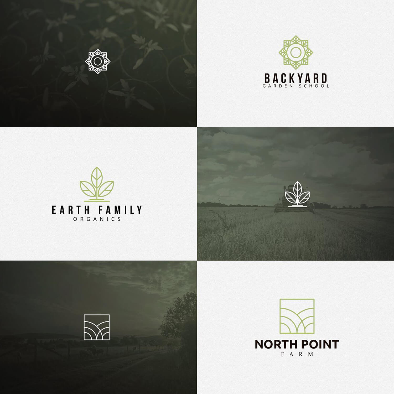 Six panels with three signed Agriculture logos and three untitled.