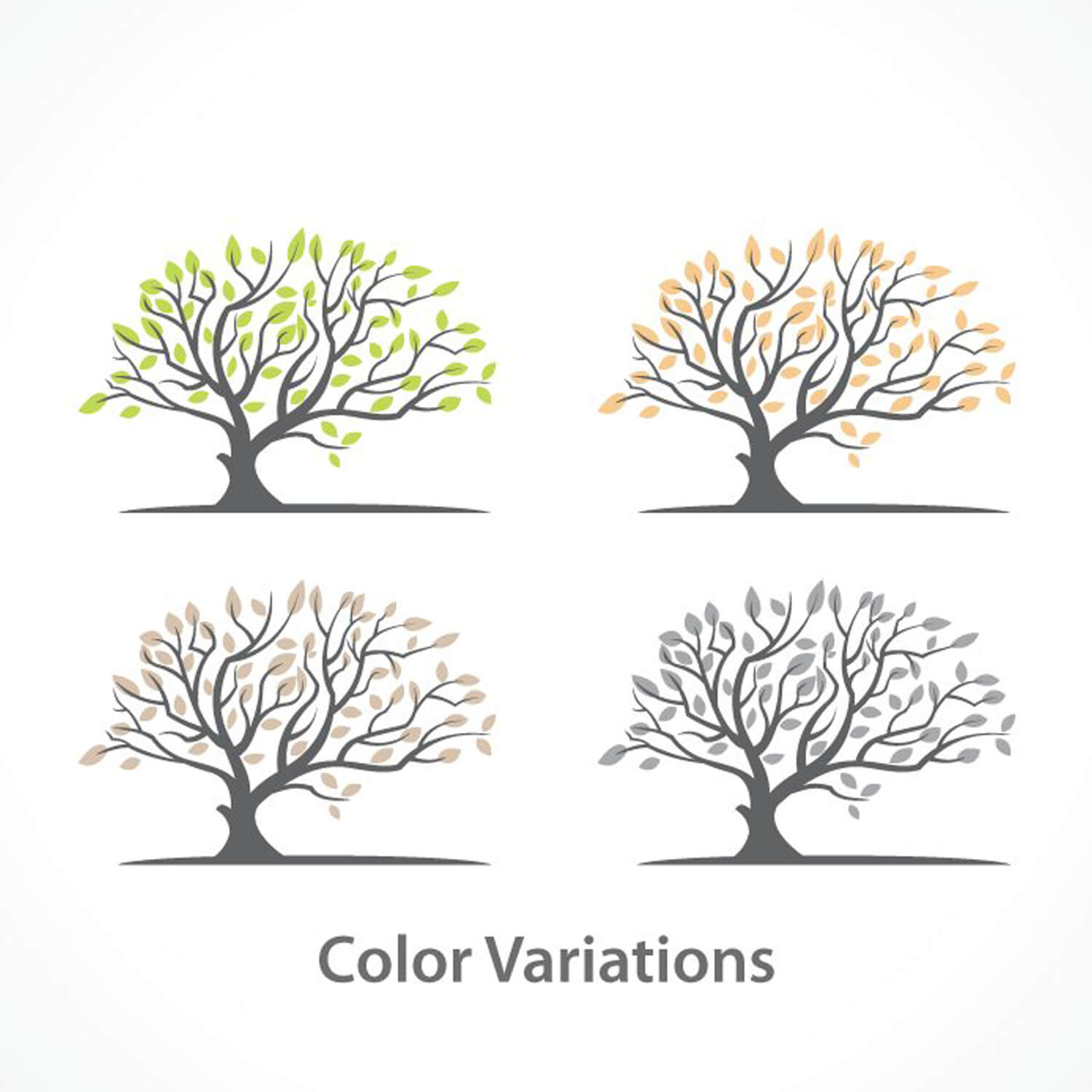 Variants of colored leaves on four drawings of trees in gray on a white background.