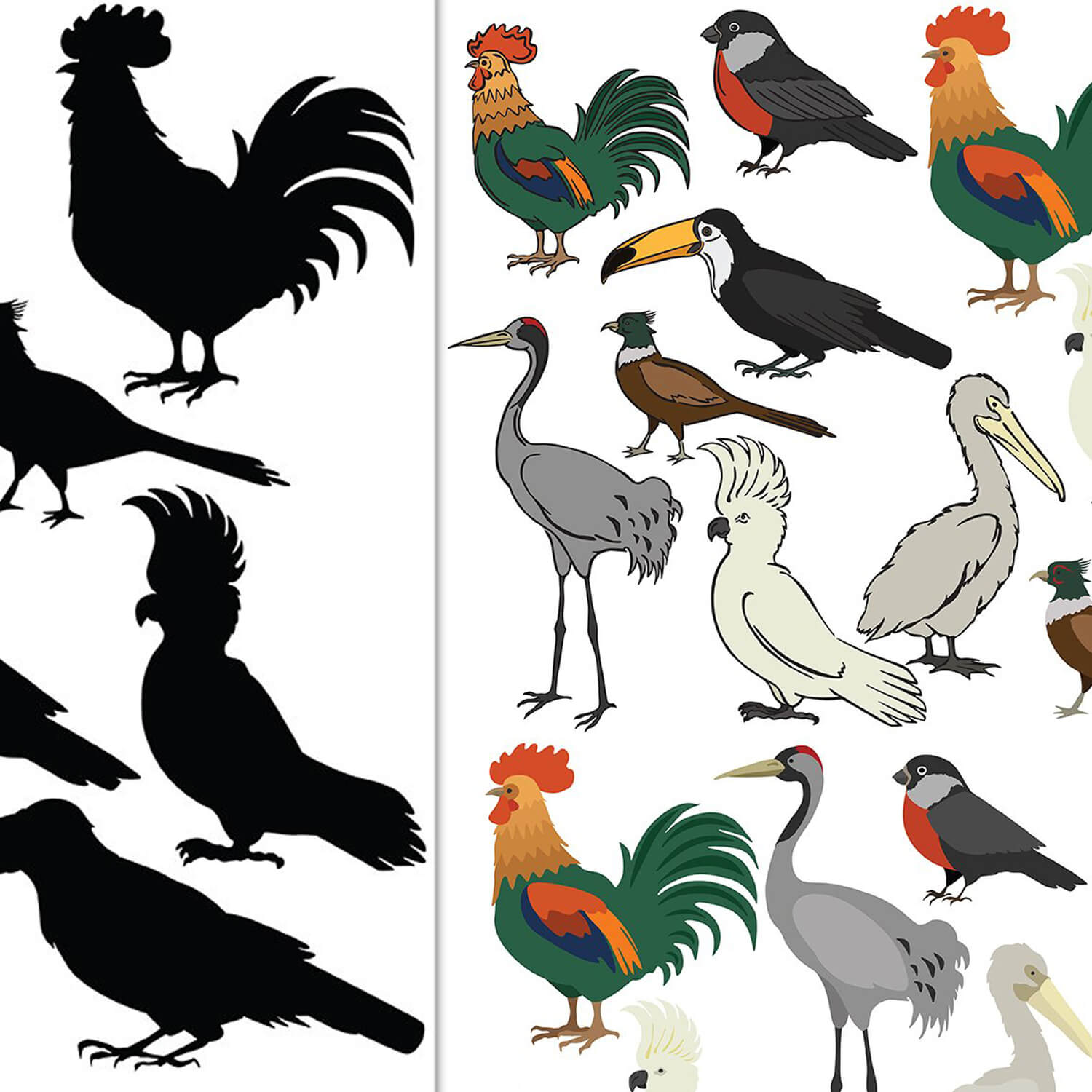 Vector drawing of birds two sheets: in color and in black and white.