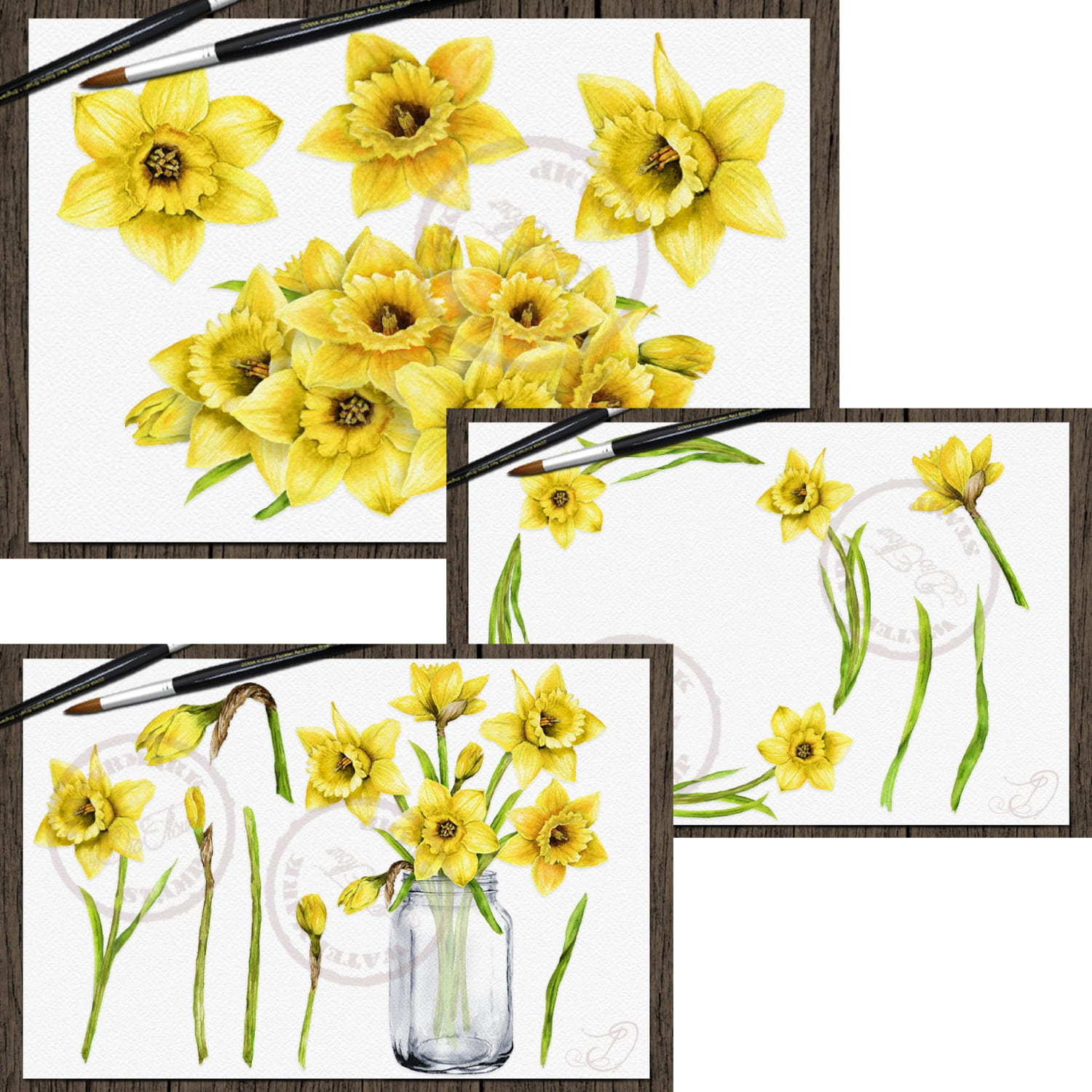 daffodils watercolor clip art set.