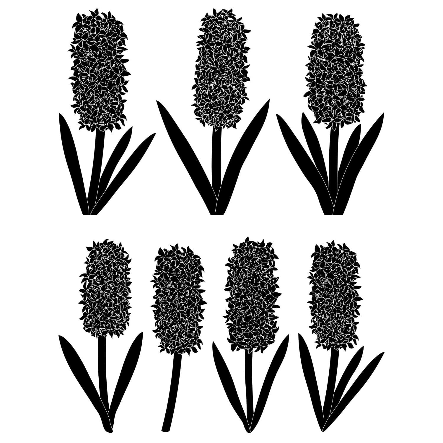 hyacinths flowers silhouettes vector illustrations.