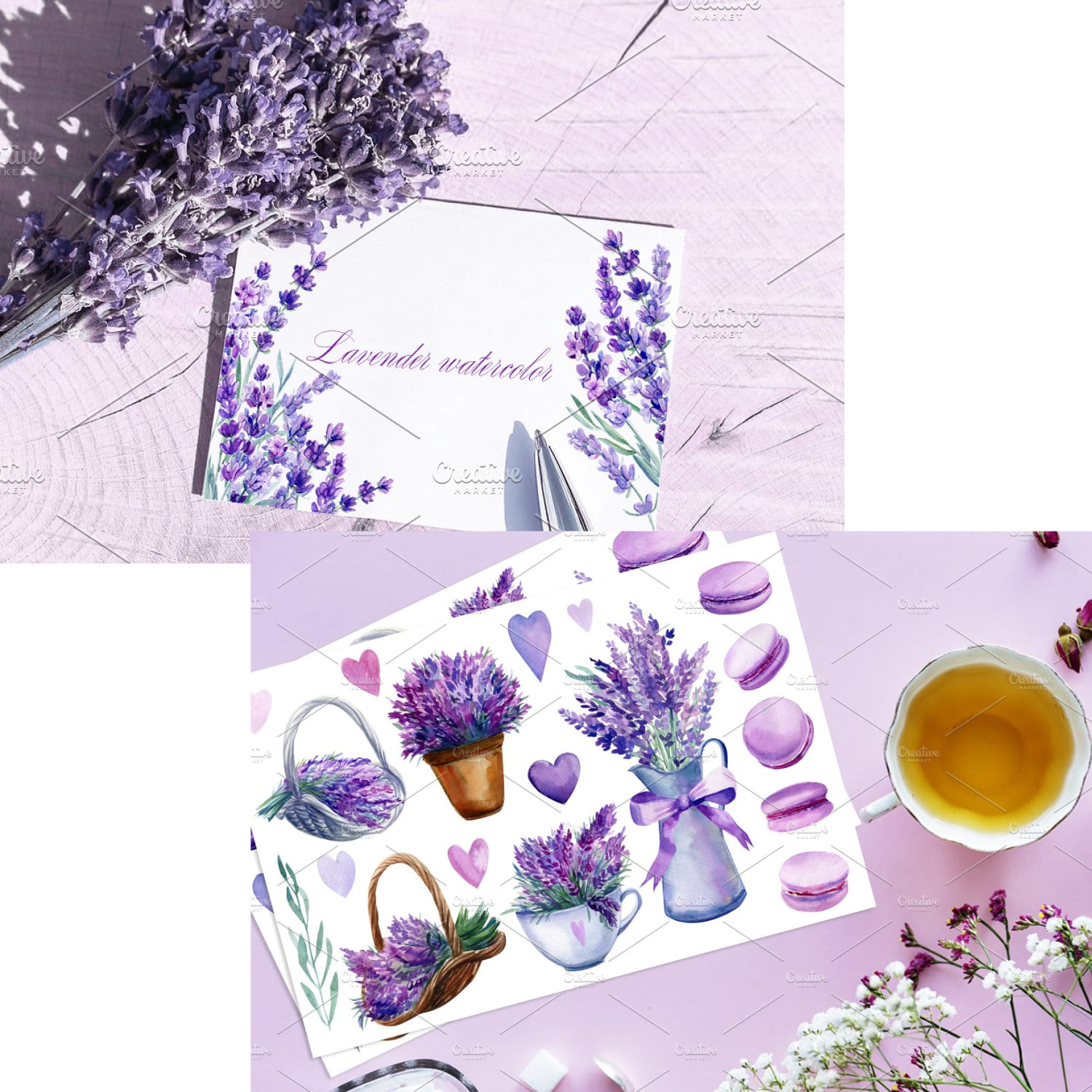 lavender watercolor illustrations.