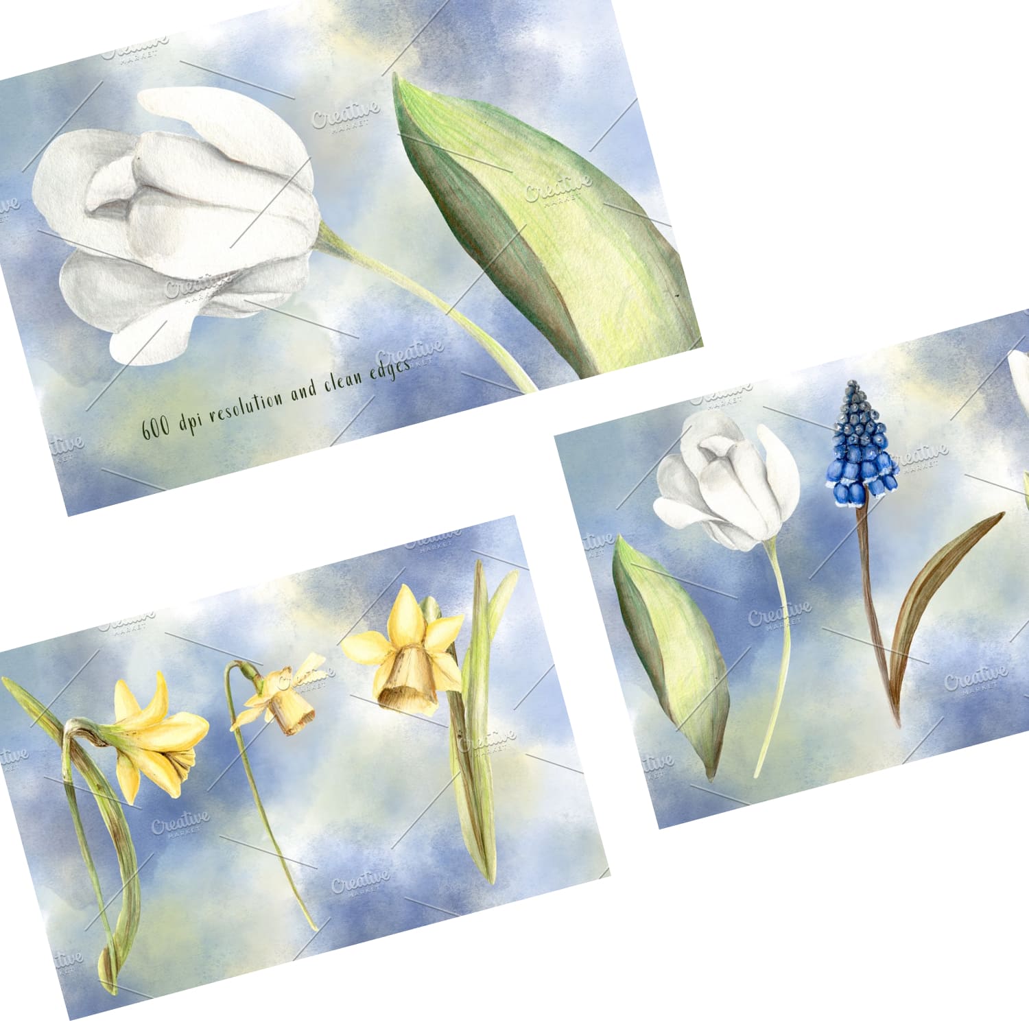 spring blossom watercolor flowers set.