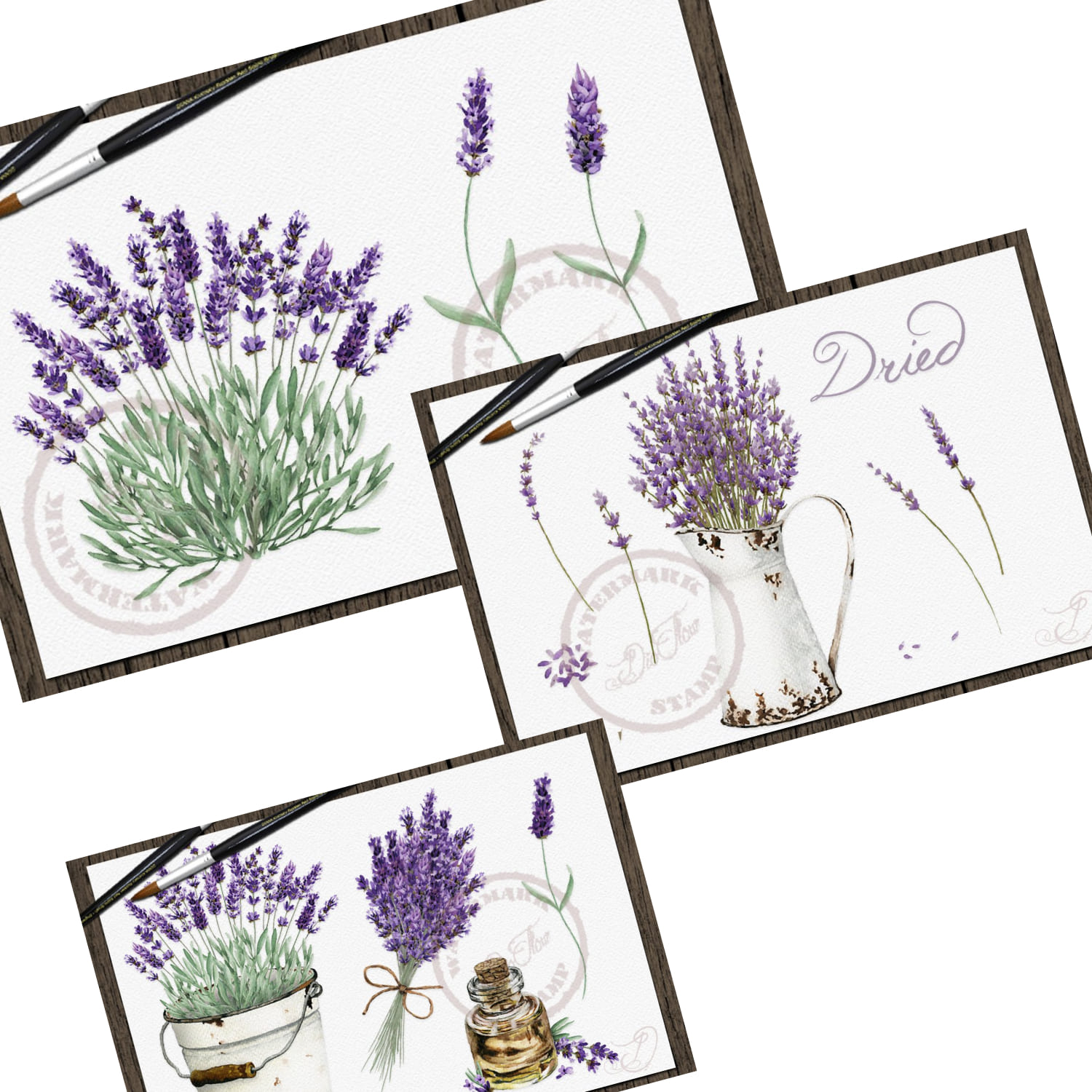 vintage lavender watercolor clip art collection.
