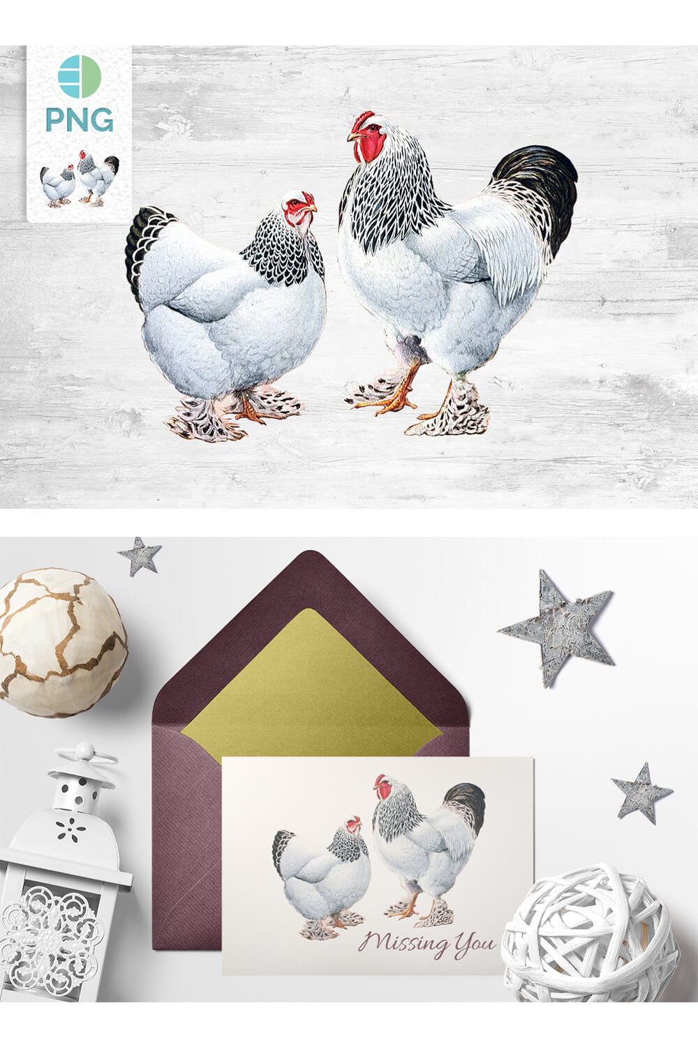 Two adult chickens in a picture and postcard.
