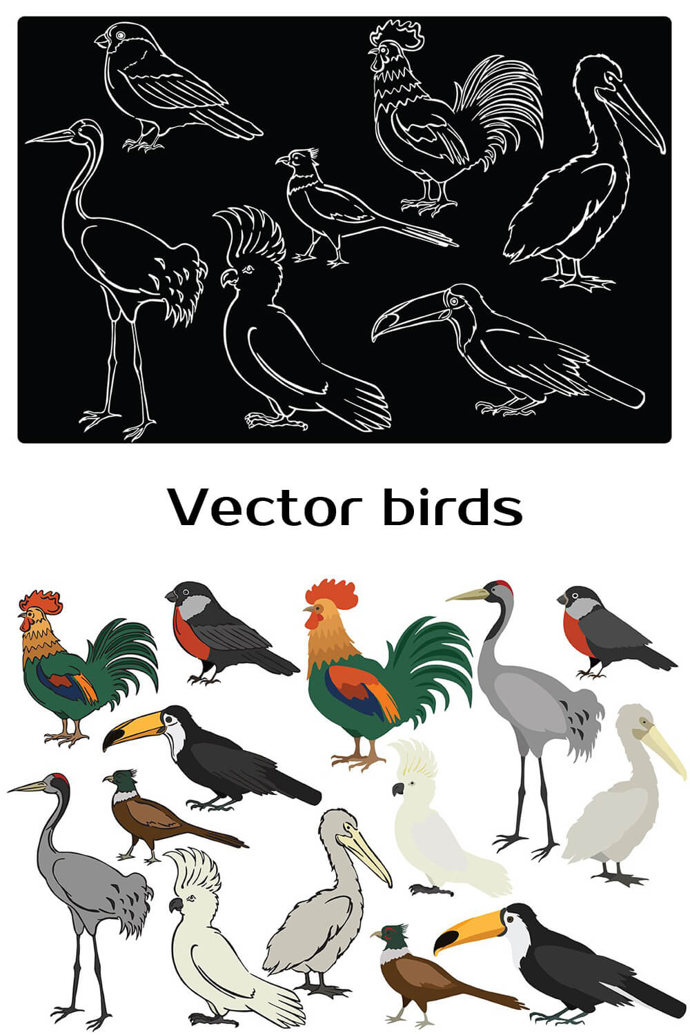 Vector drawing of birds colored and white on black.
