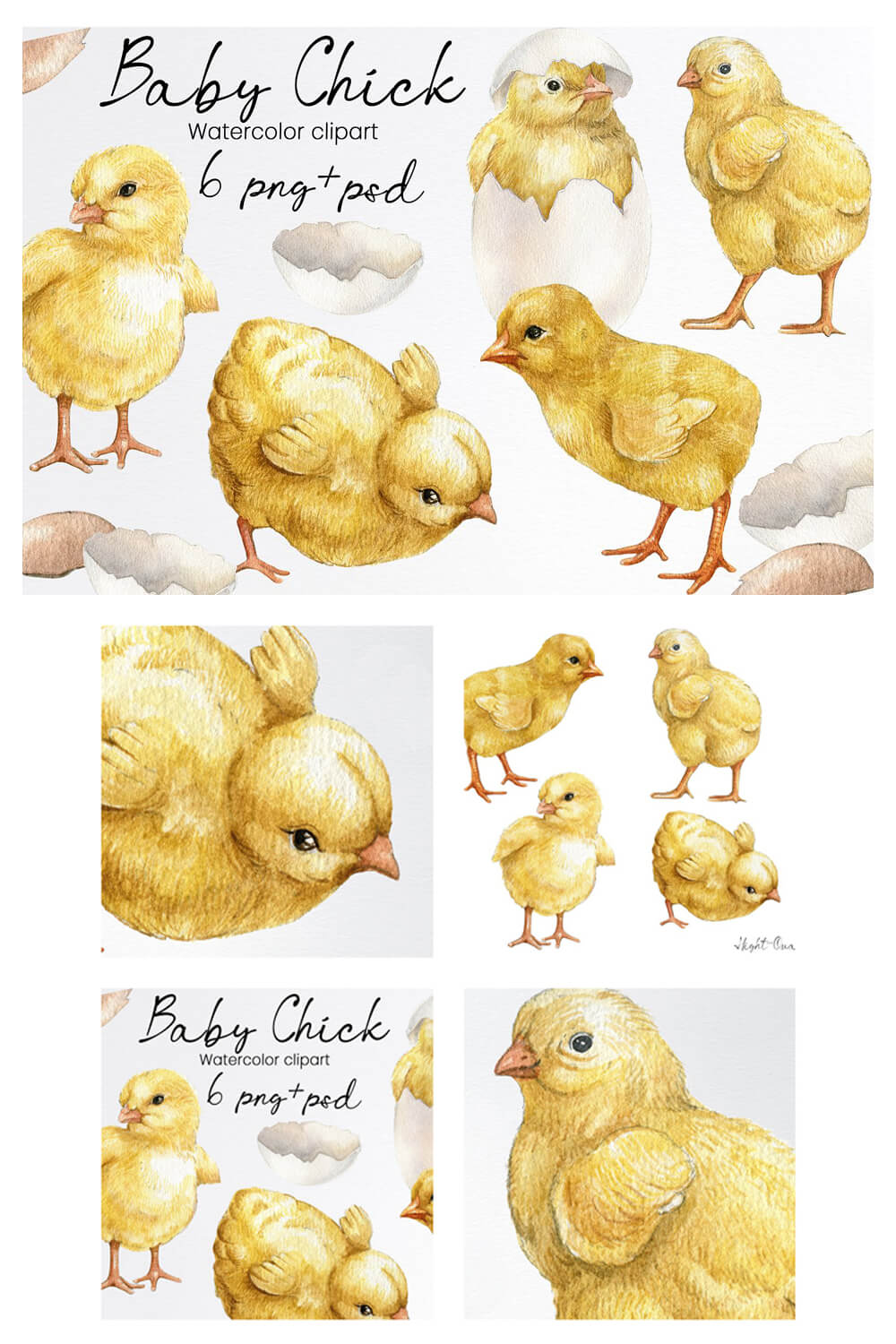 Inscription on picture: Baby Chick Watercolor clipart, 6 png+psd.