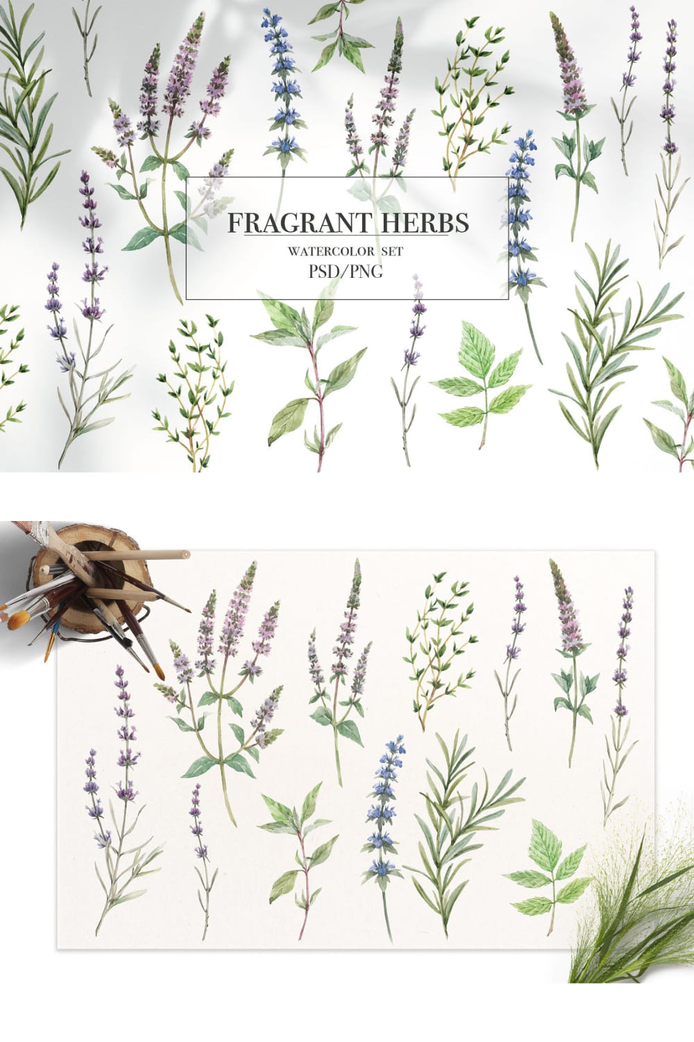 Fragrant Herbs Set. Watercolor Flower pinterest image.