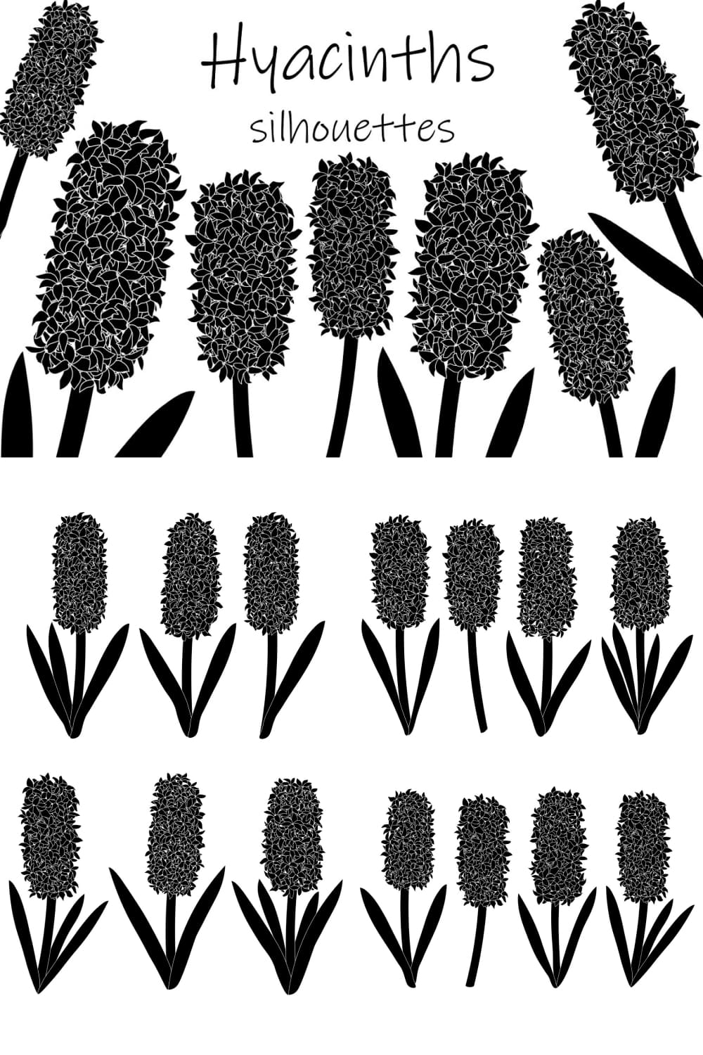 Hyacinths Flowers Silhouettes Vector pinterest image.