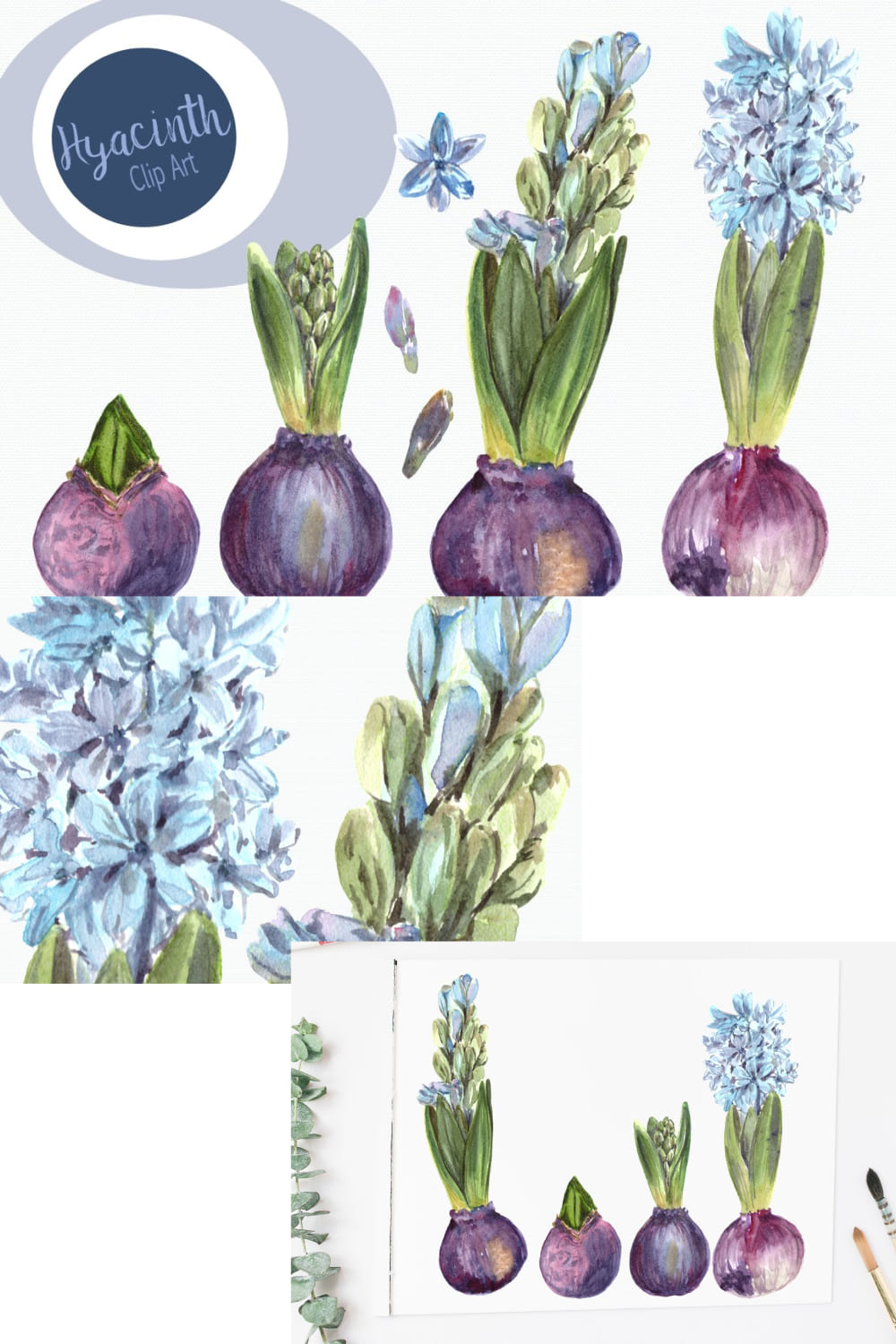 Watercolor Hyacinth Clip Art Set pinterest image.