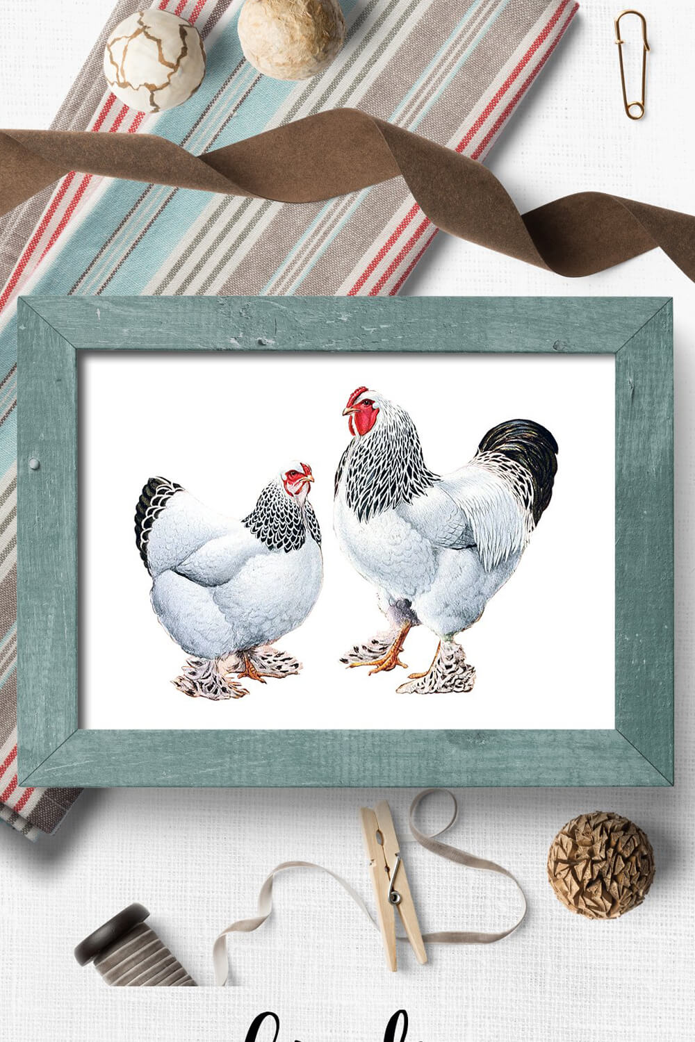 Drawing of a chicken with a rooster on white with a gray frame.