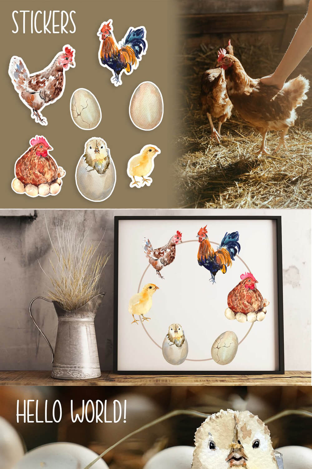 Chicken life cycle, Inscription: Stickers, Hello world.