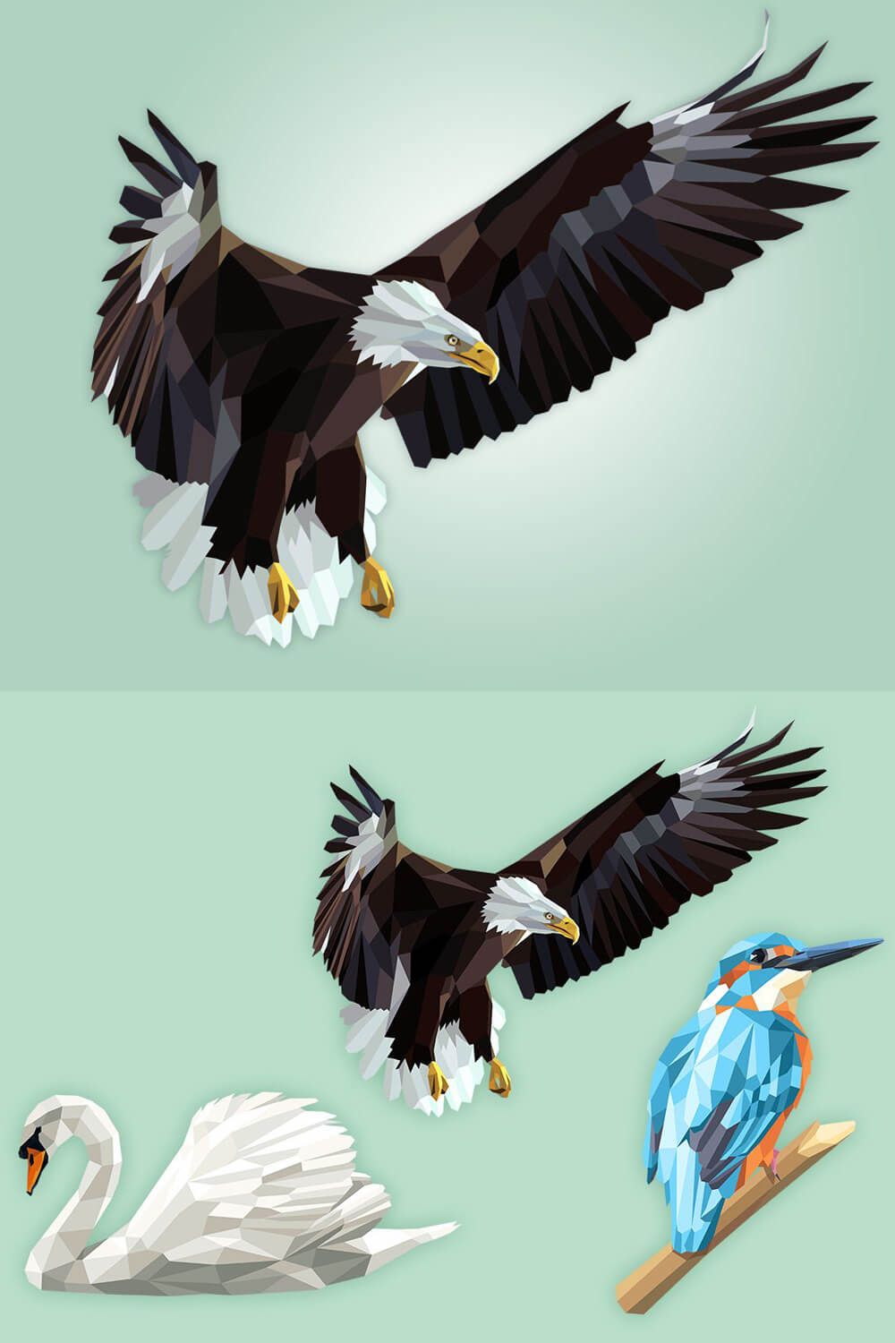 Drawing with two birds, an eagle close-up at the top of the image and an eagle with a swan and an exotic bird.