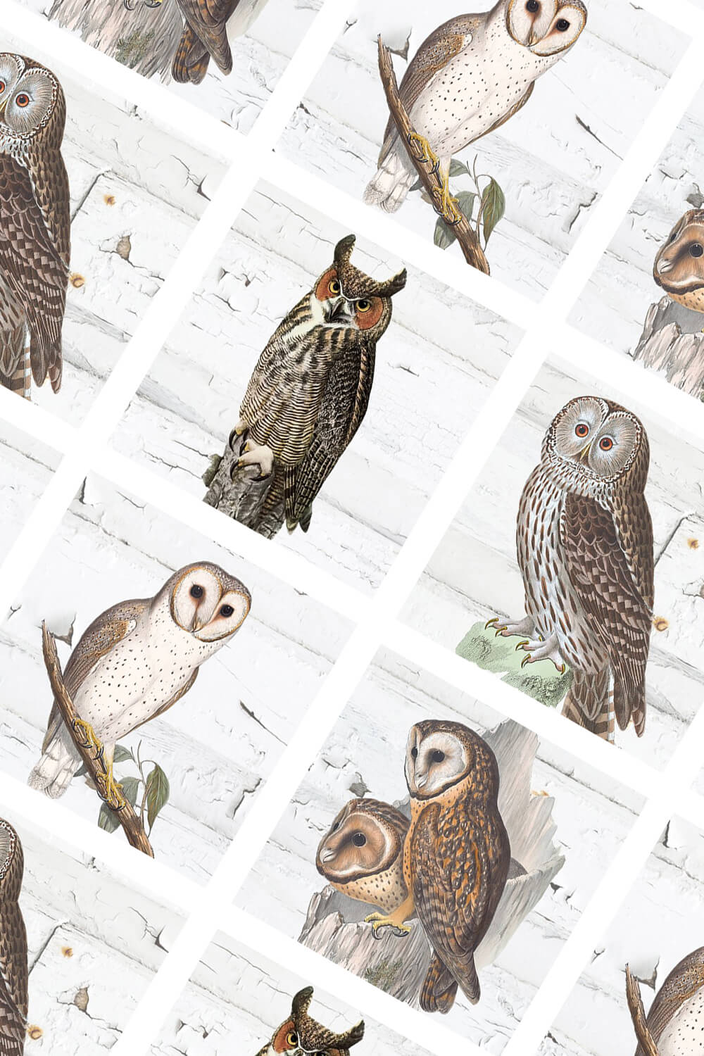 Diagonal image with painted owls.