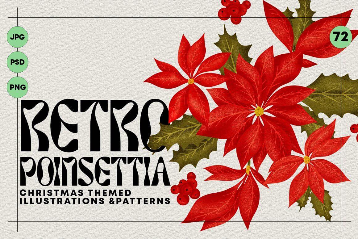 Retro Poinsettia Christmas Themed Illustrations & Patterns.