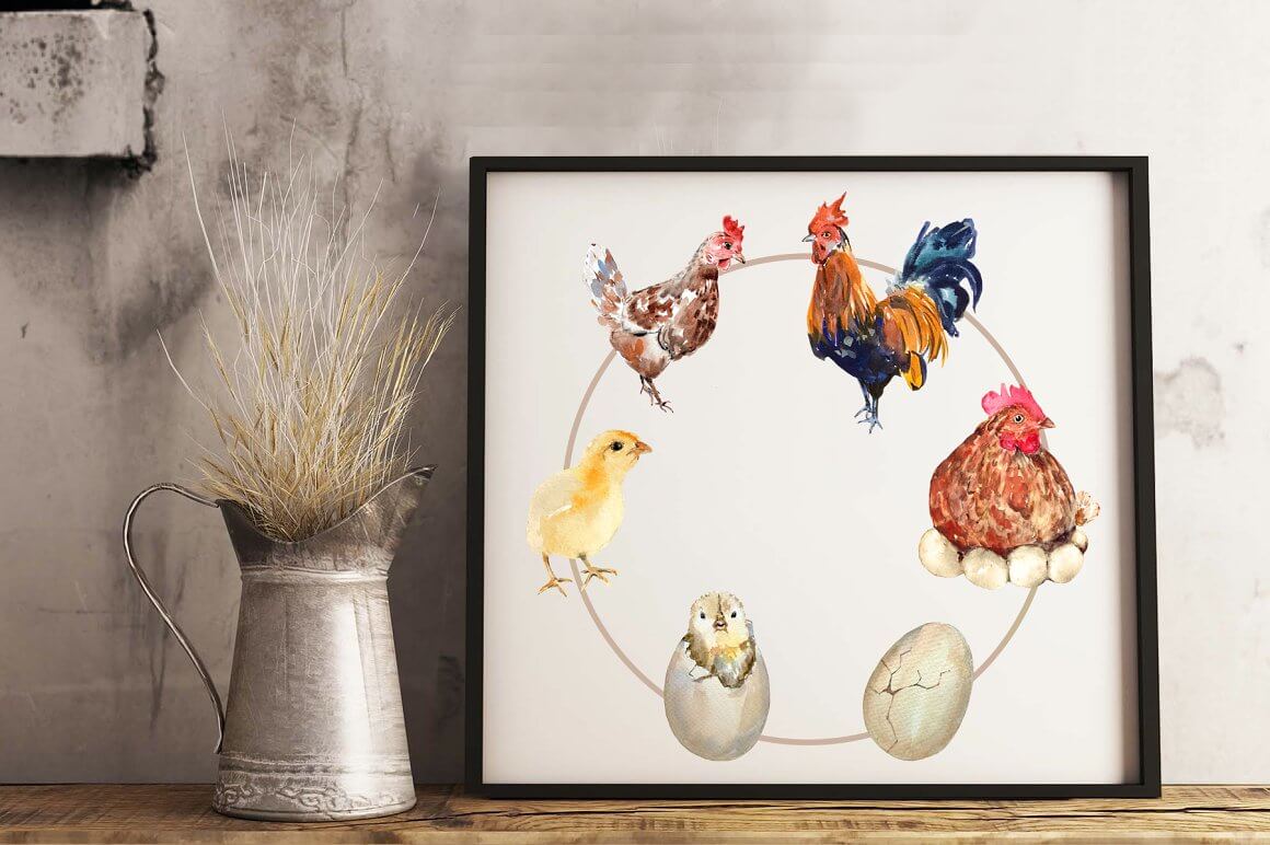 Illustration of the life cycle of a chicken on a white background standing on a wooden table with a jug of hay.