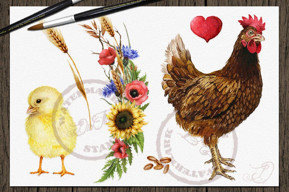Detailed image of a hen and chicken.