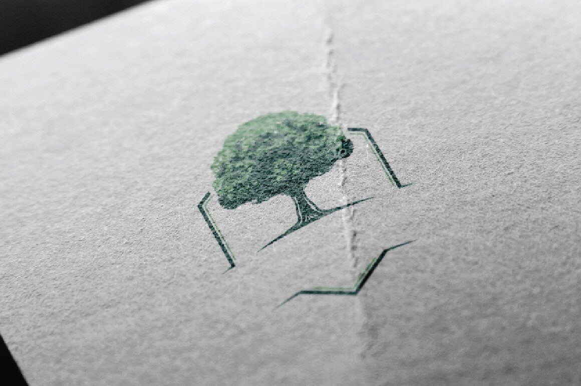 Picture with a green hexa oaktree on a textured surface with a fracture.