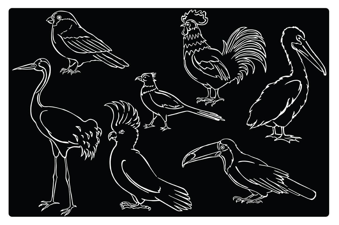 Vector drawing of birds in white on black with a white frame.
