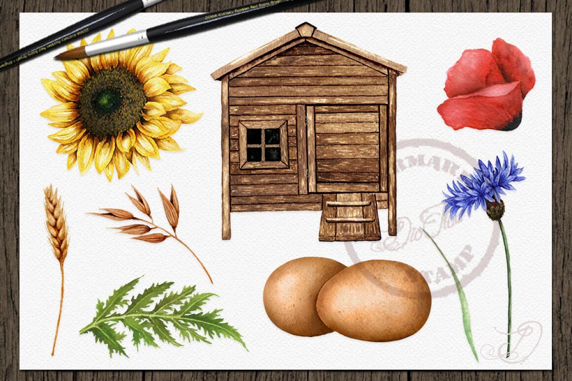 Illustration of chicken coop, eggs and field herbs.