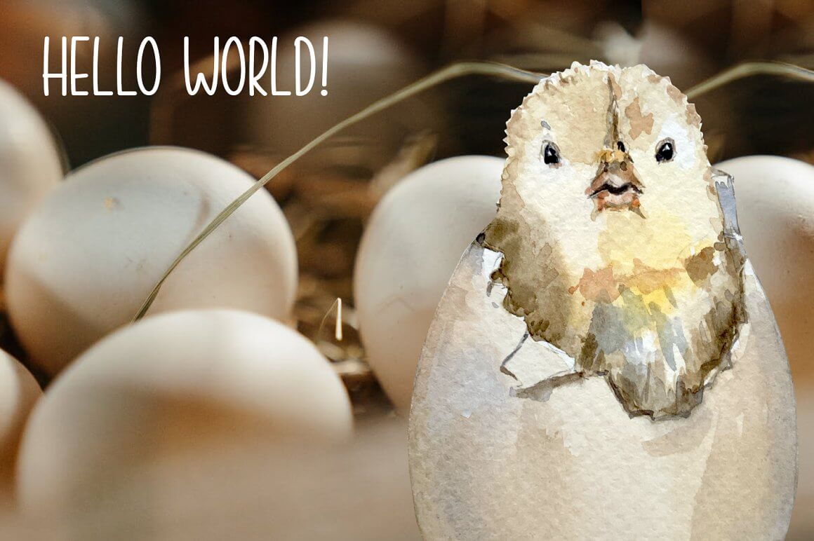 The birth of a chick from an egg with greetings to the world.