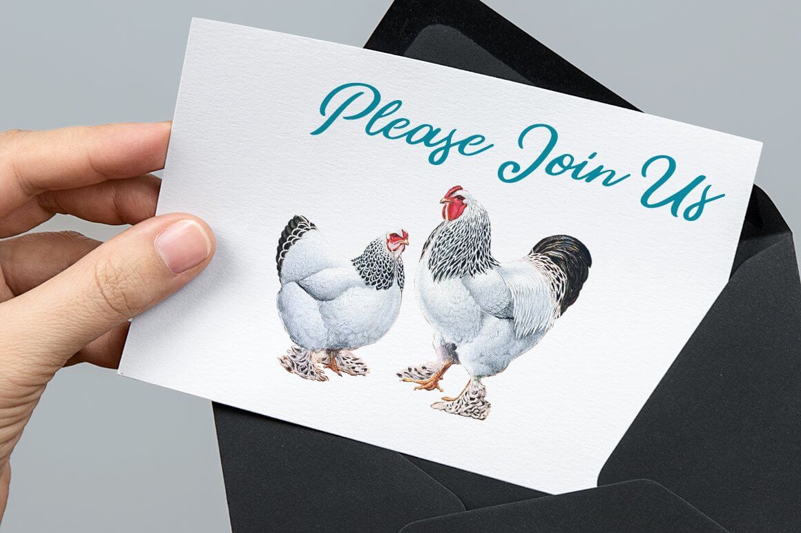 Postcard with two chickens and the inscription "Please Join Us".
