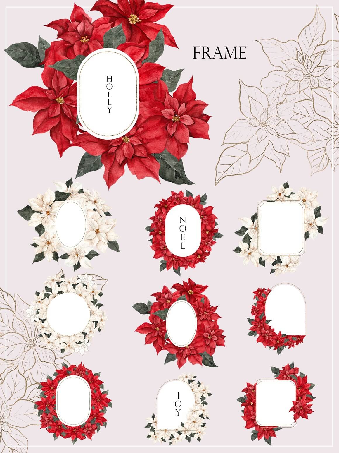 Frames of different shapes from poinsettia flowers.