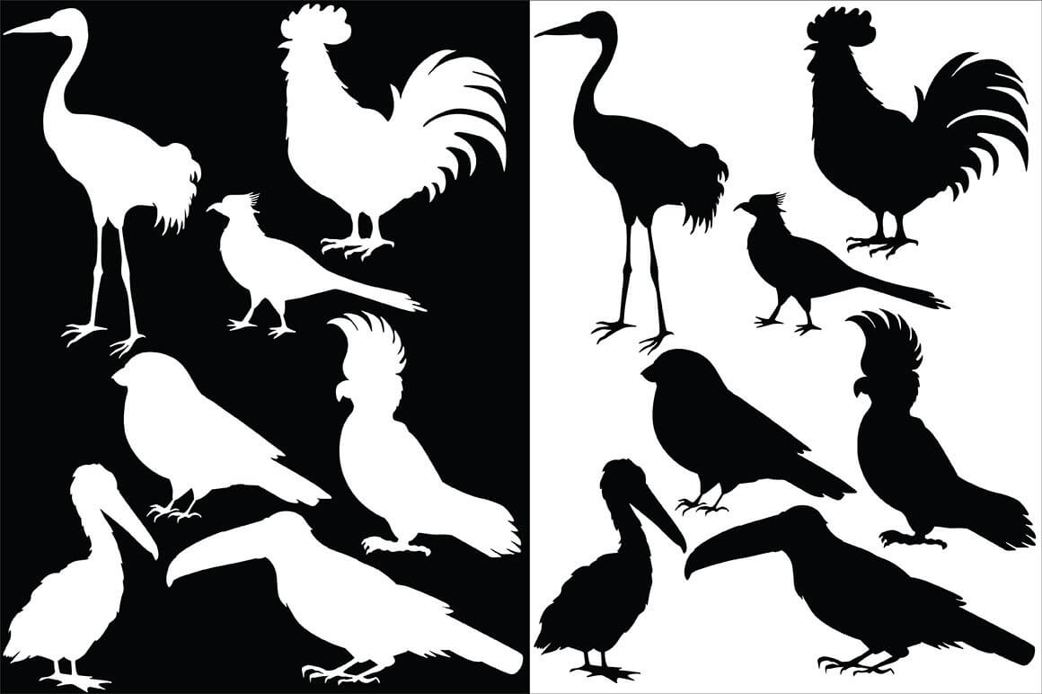 Two halves of one Vector drawing of birds, the left half is white on black and black on a white background.