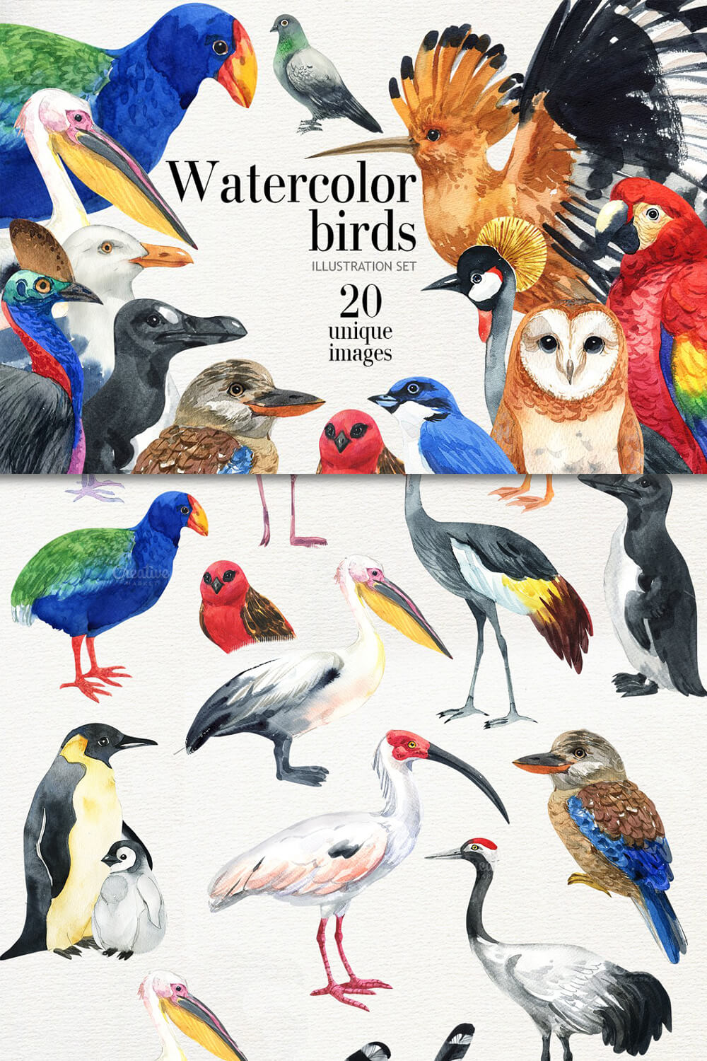 Title: Watercolor birds illustration Set, 20 unique images.
