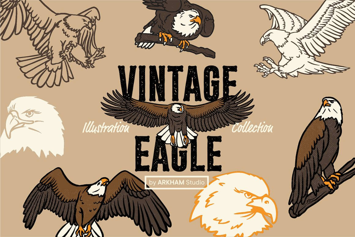 Illustration Collection Vintage Eagle.
