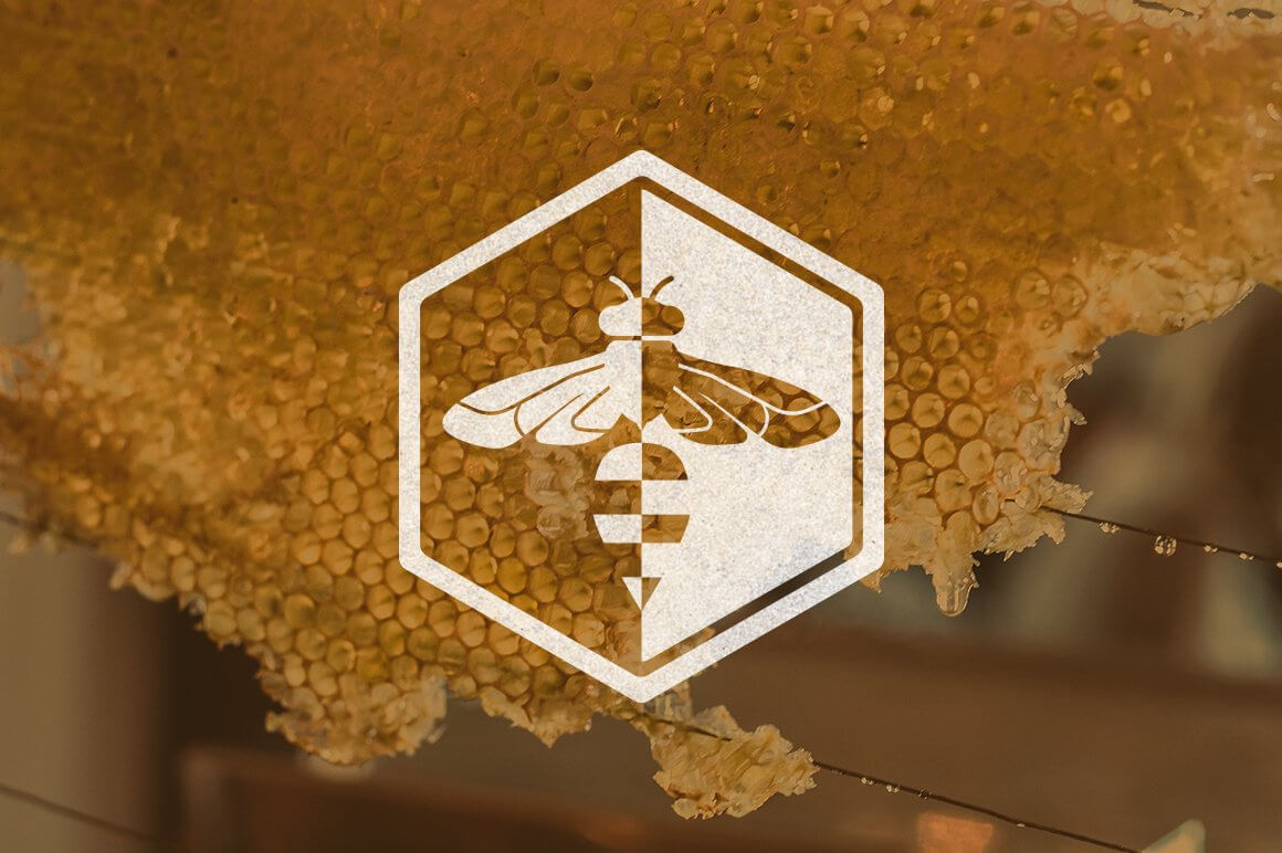 A logo depicting a large wasp, half of which is white and half is transparent.