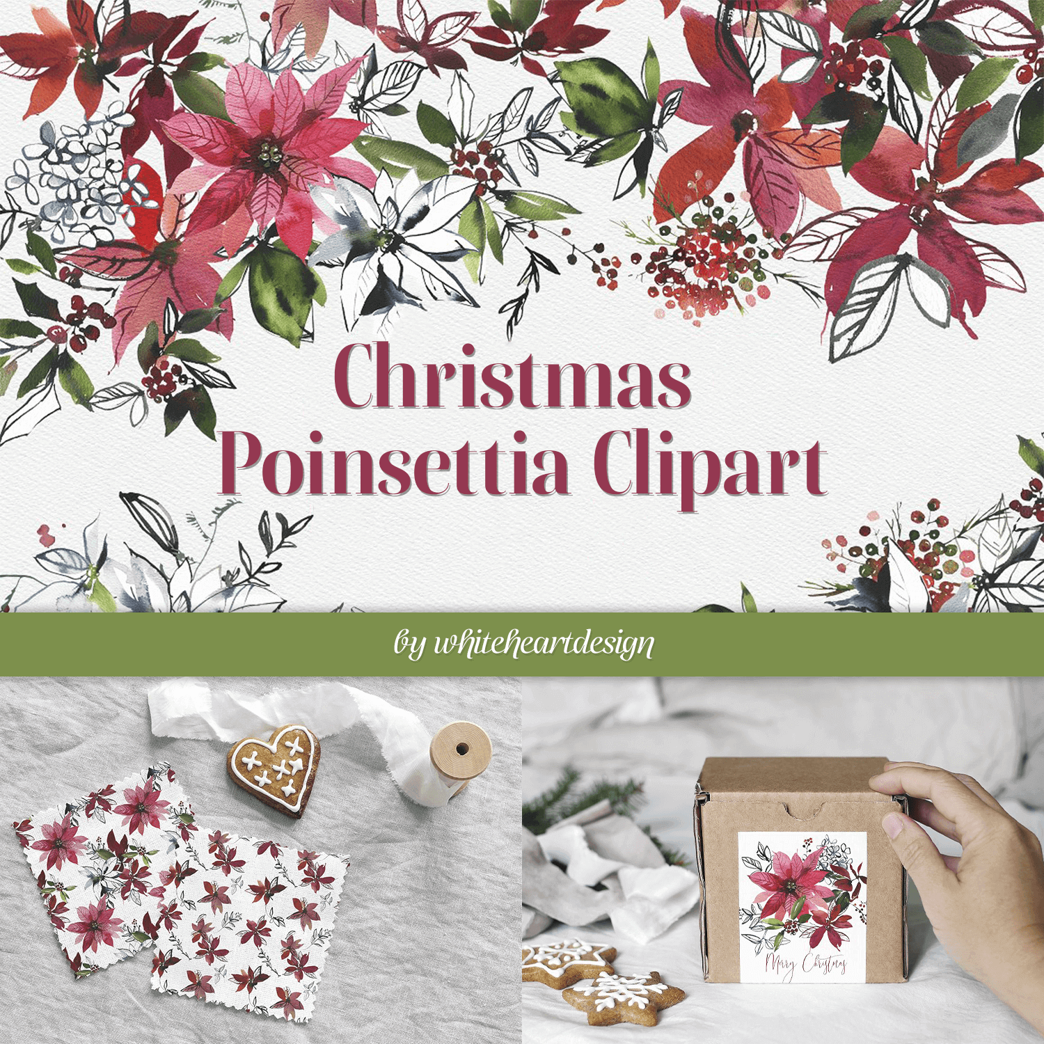 Christmas Poinsettia Clipart on the White Background.