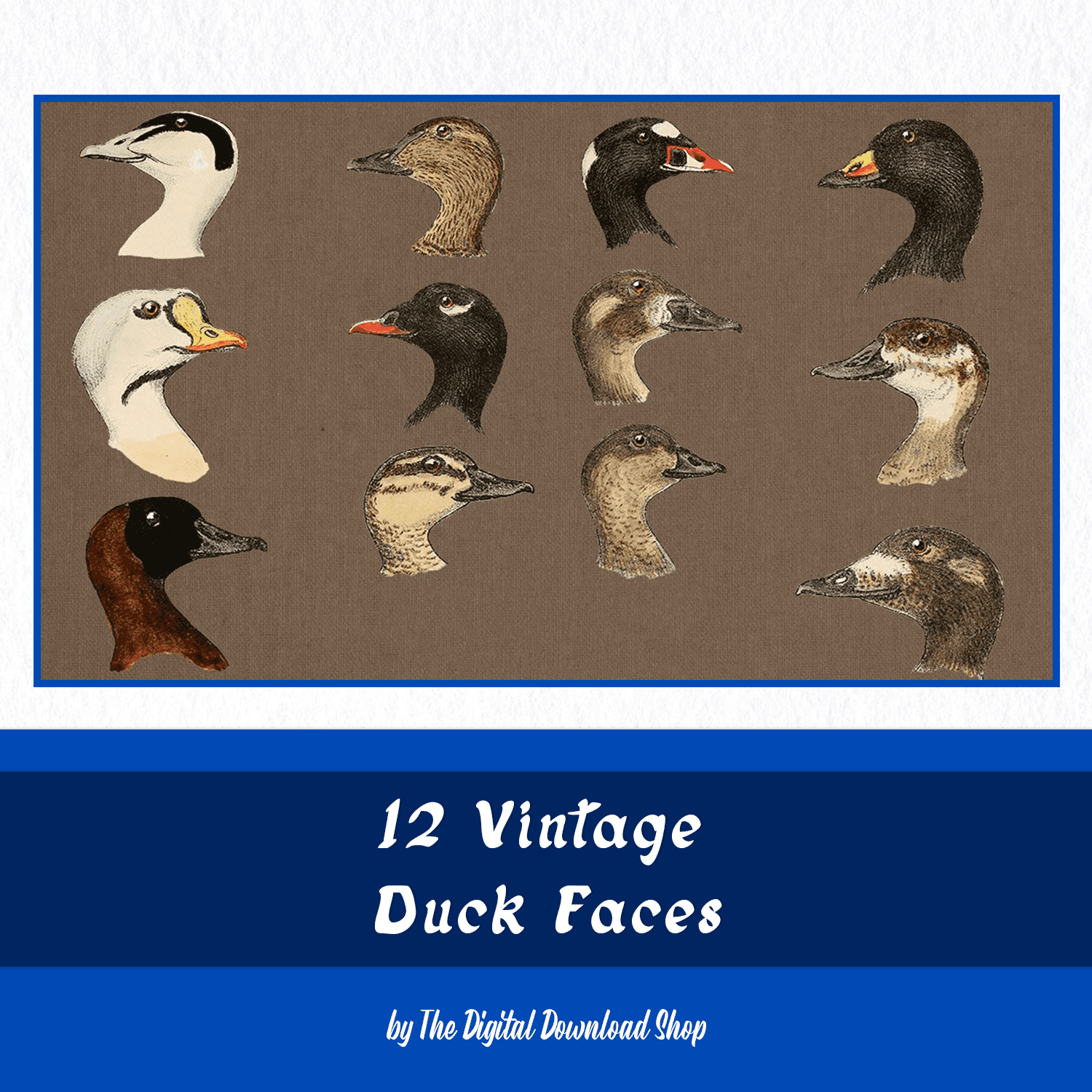 12 Vintage Duck Faces cover image.