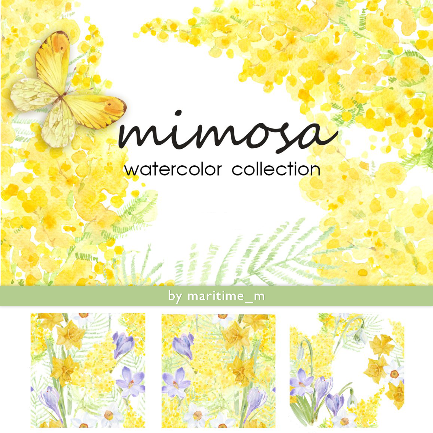 Prints of mimosa. watercolor collection.
